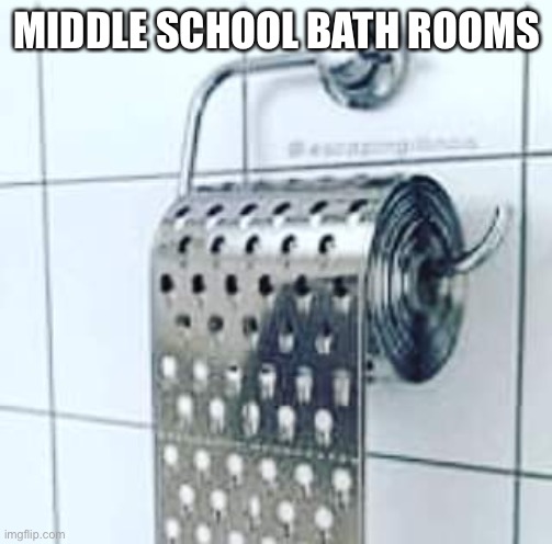 Cheese grater toilet paper | MIDDLE SCHOOL BATH ROOMS | image tagged in cheese grater toilet paper | made w/ Imgflip meme maker