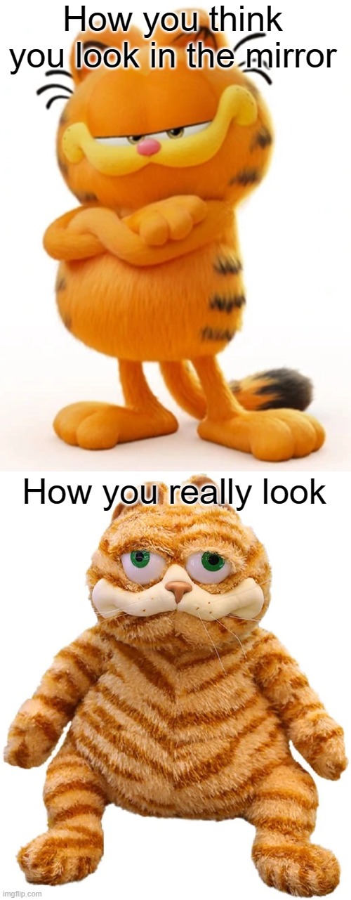 Garfield | How you think you look in the mirror; How you really look | image tagged in garfield,funny | made w/ Imgflip meme maker