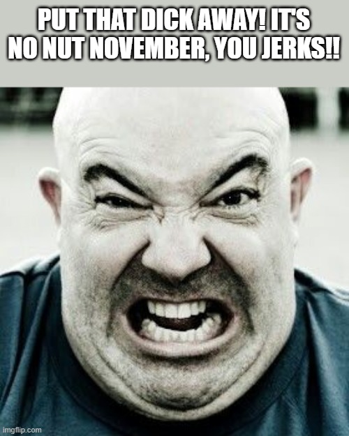 No Nut November | PUT THAT DICK AWAY! IT'S NO NUT NOVEMBER, YOU JERKS!! | image tagged in no nut november,dick,funny | made w/ Imgflip meme maker