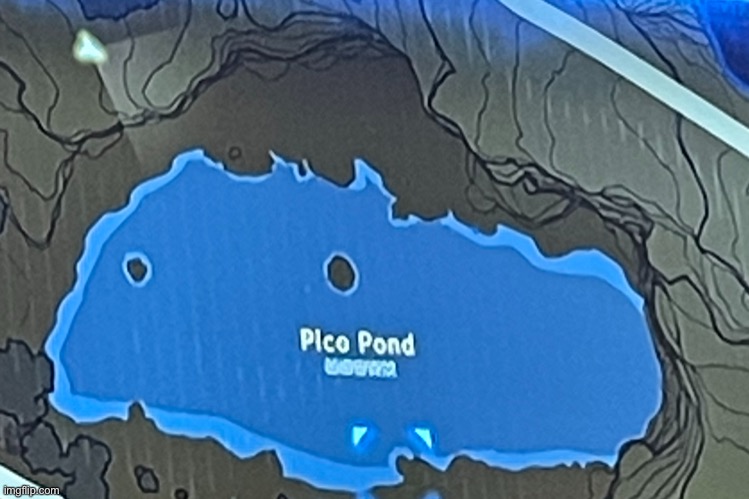 Pico pond | image tagged in pico pond | made w/ Imgflip meme maker