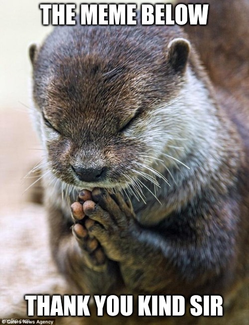 Thank you Lord Otter | THE MEME BELOW THANK YOU KIND SIR | image tagged in thank you lord otter | made w/ Imgflip meme maker