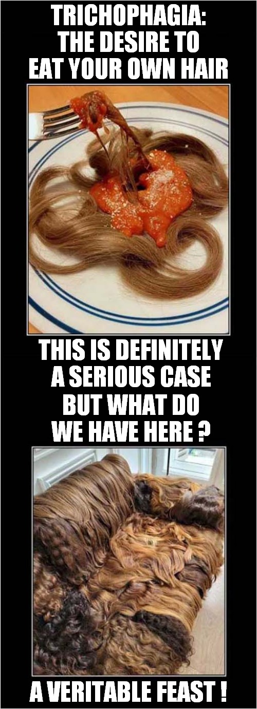 Tasty Tasty Hair ! | TRICHOPHAGIA:
THE DESIRE TO EAT YOUR OWN HAIR; THIS IS DEFINITELY
A SERIOUS CASE; BUT WHAT DO WE HAVE HERE ? A VERITABLE FEAST ! | image tagged in hair,eating,dark humour | made w/ Imgflip meme maker