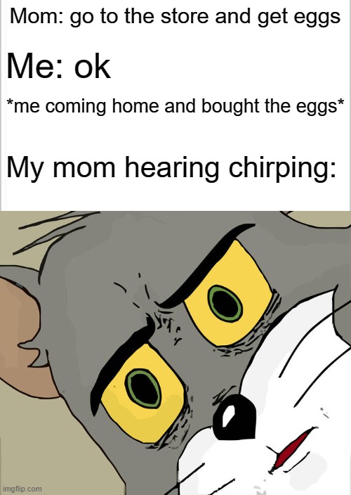 Mom: go to the store and get eggs; Me: ok; *me coming home and bought the eggs*; My mom hearing chirping: | image tagged in white background,memes,unsettled tom | made w/ Imgflip meme maker