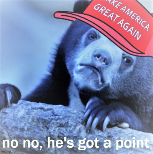 MAGA confession bear screwed | no no, he's got a point | image tagged in maga confession bear screwed | made w/ Imgflip meme maker