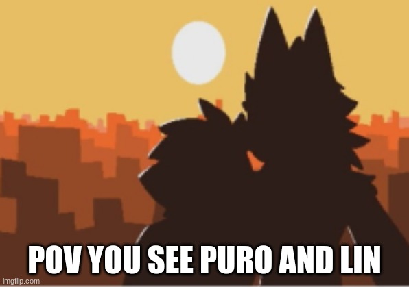 Puro and human sunset | POV YOU SEE PURO AND LIN | image tagged in puro and human sunset | made w/ Imgflip meme maker