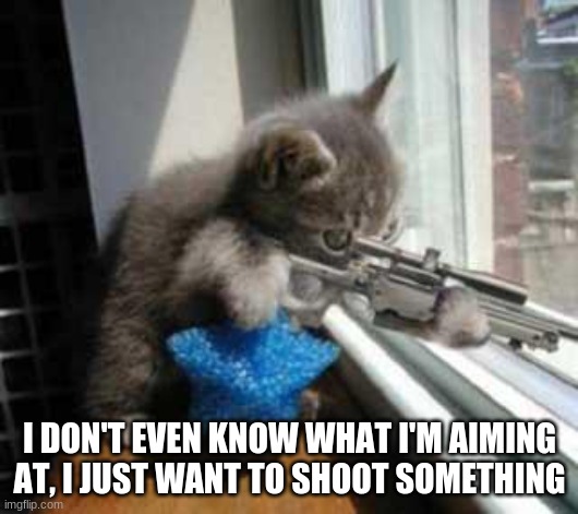 CatSniper | I DON'T EVEN KNOW WHAT I'M AIMING AT, I JUST WANT TO SHOOT SOMETHING | image tagged in catsniper | made w/ Imgflip meme maker