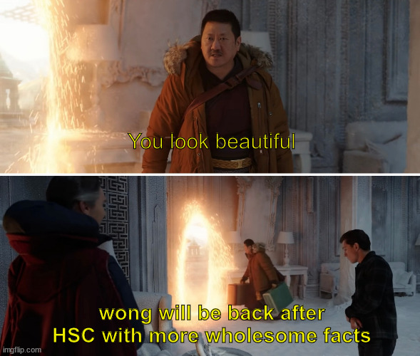 wong will be back | You look beautiful; wong will be back after HSC with more wholesome facts | image tagged in wong will be back | made w/ Imgflip meme maker