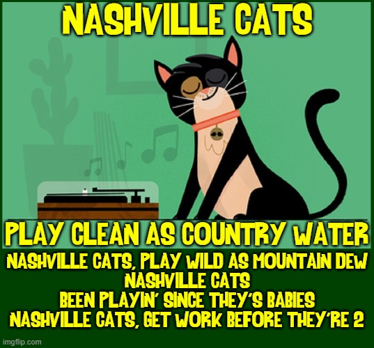 Listen, Human!  They're playing my favorite song! | NASHVILLE CATS; PLAY CLEAN AS COUNTRY WATER; NASHVILLE CATS, PLAY WILD AS MOUNTAIN DEW
NASHVILLE CATS
BEEN PLAYIN' SINCE THEY'S BABIES
NASHVILLE CATS, GET WORK BEFORE THEY'RE 2 | image tagged in vince vance,nashville,cats,memes,i love cats,meow | made w/ Imgflip meme maker