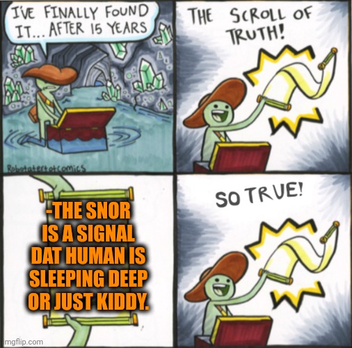 -Our throat. | -THE SNOR IS A SIGNAL DAT HUMAN IS SLEEPING DEEP OR JUST KIDDY. | image tagged in the real scroll of truth,snoring,deep thought,sleeping,are you kidding me,bedroom | made w/ Imgflip meme maker