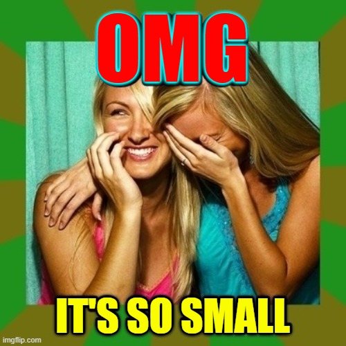 OMG IT'S SO SMALL | made w/ Imgflip meme maker