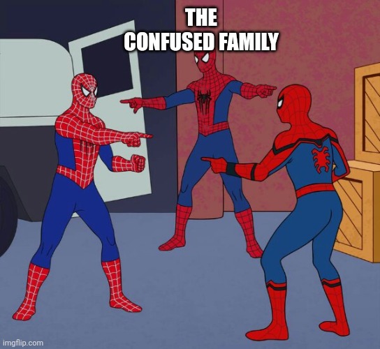 Spider Man Triple | THE CONFUSED FAMILY | image tagged in spider man triple | made w/ Imgflip meme maker