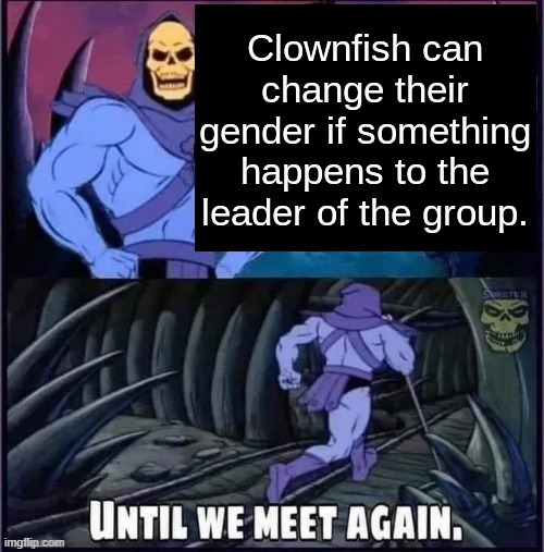 yall anit original stop copying the clowfish | made w/ Imgflip meme maker