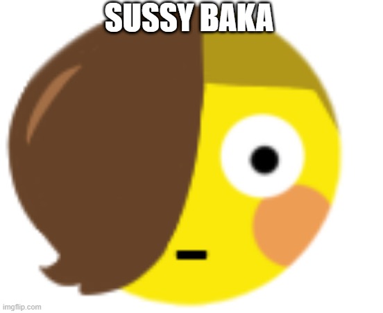 :Ceraflushed: | SUSSY BAKA | image tagged in ceraflushed | made w/ Imgflip meme maker
