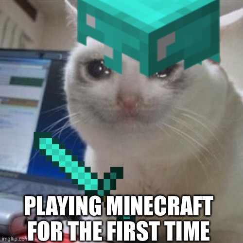 :0 | PLAYING MINECRAFT FOR THE FIRST TIME | image tagged in cats | made w/ Imgflip meme maker