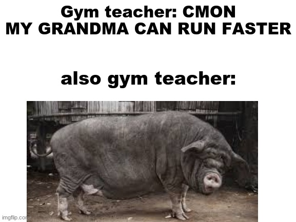 shcool memes | Gym teacher: CMON MY GRANDMA CAN RUN FASTER; also gym teacher: | image tagged in school | made w/ Imgflip meme maker