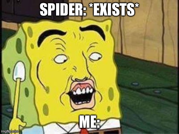 sponge bob bruh | SPIDER: *EXISTS*; ME: | image tagged in sponge bob bruh | made w/ Imgflip meme maker