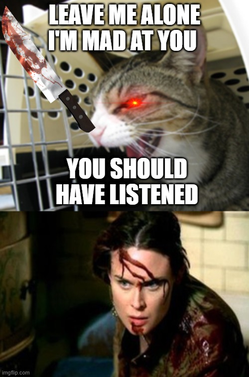 EVIL!! | LEAVE ME ALONE I'M MAD AT YOU; YOU SHOULD HAVE LISTENED | image tagged in blood,cat,evil,cruel | made w/ Imgflip meme maker