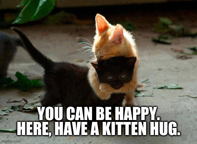 kitten hug | YOU CAN BE HAPPY.
HERE, HAVE A KITTEN HUG. | image tagged in kitten hug | made w/ Imgflip meme maker