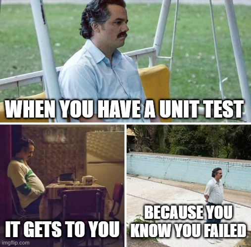 :( | WHEN YOU HAVE A UNIT TEST; IT GETS TO YOU; BECAUSE YOU KNOW YOU FAILED | image tagged in memes,sad pablo escobar | made w/ Imgflip meme maker