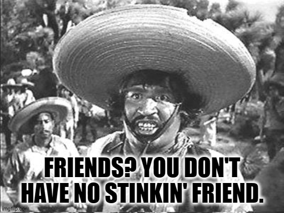 We Don't Need No Stinking | FRIENDS? YOU DON'T HAVE NO STINKIN' FRIEND. | image tagged in we don't need no stinking | made w/ Imgflip meme maker