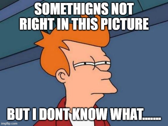 Futurama Fry Meme | SOMETHIGNS NOT RIGHT IN THIS PICTURE BUT I DONT KNOW WHAT....... | image tagged in memes,futurama fry | made w/ Imgflip meme maker