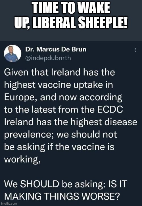 How much evidence does it take to convince a liberal? | TIME TO WAKE UP, LIBERAL SHEEPLE! | image tagged in covid 19,covid vaccine,pandemic | made w/ Imgflip meme maker