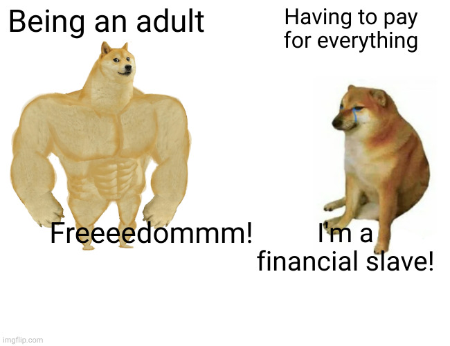 Adulting is such horseshit | Being an adult; Having to pay for everything; Freeeedommm! I'm a financial slave! | image tagged in memes,buff doge vs cheems | made w/ Imgflip meme maker