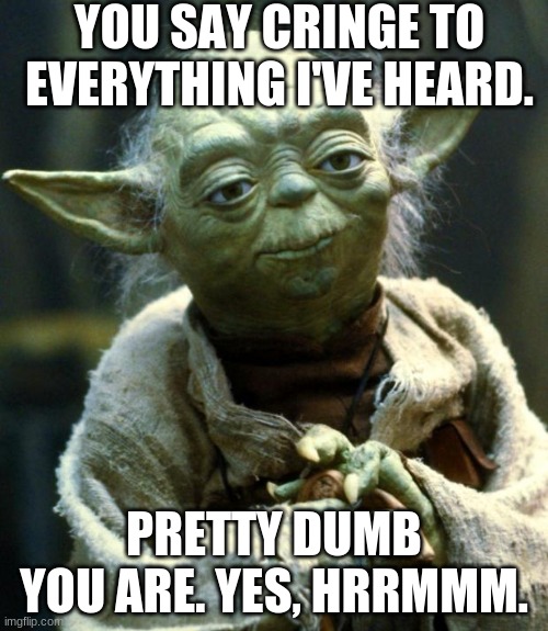 Star Wars Yoda | YOU SAY CRINGE TO EVERYTHING I'VE HEARD. PRETTY DUMB YOU ARE. YES, HRRMMM. | image tagged in memes,star wars yoda | made w/ Imgflip meme maker