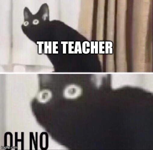 Oh no cat | THE TEACHER | image tagged in oh no cat | made w/ Imgflip meme maker