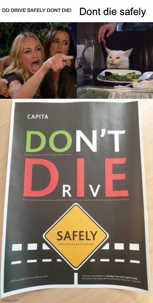 DO DRIVE SAFELY DONT DIE! Dont die safely | image tagged in memes,woman yelling at cat | made w/ Imgflip meme maker