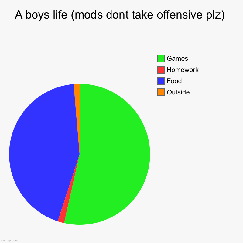 A guy's life (plz dont take it wrong) | A boys life (mods dont take offensive plz) | Outside, Food, Homework , Games | image tagged in charts,pie charts | made w/ Imgflip chart maker