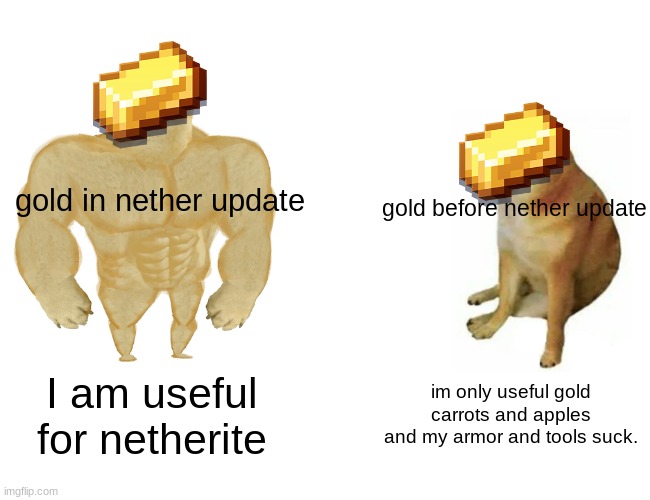 minecraft gold meme | gold in nether update; gold before nether update; I am useful for netherite; im only useful gold carrots and apples and my armor and tools suck. | image tagged in memes,buff doge vs cheems | made w/ Imgflip meme maker