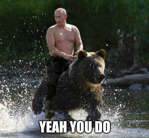 Putin on bear | YEAH YOU DO | image tagged in putin on bear | made w/ Imgflip meme maker