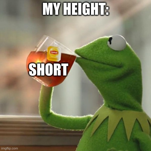 WHY AM I SO SHORT | MY HEIGHT:; SHORT | image tagged in memes,but that's none of my business,kermit the frog | made w/ Imgflip meme maker