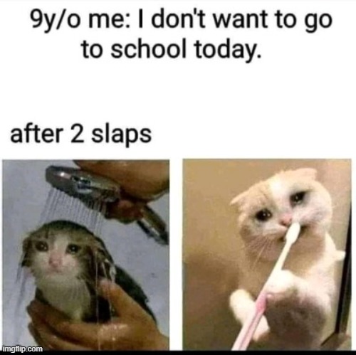 no I don't want to go D: | image tagged in kids,go to school,or be slapped,whyyy | made w/ Imgflip meme maker