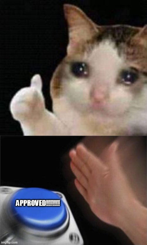 APPROVED!!!!!!! | image tagged in approved crying cat,memes,blank nut button | made w/ Imgflip meme maker
