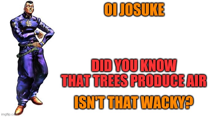 fact | OI JOSUKE; DID YOU KNOW THAT TREES PRODUCE AIR; ISN'T THAT WACKY? | image tagged in oi josuke,jojo's bizarre adventure,tree | made w/ Imgflip meme maker