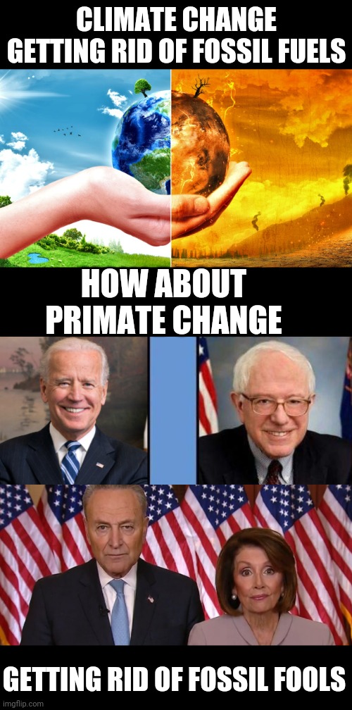 CLIMATE CHANGE GETTING RID OF FOSSIL FUELS; HOW ABOUT PRIMATE CHANGE; GETTING RID OF FOSSIL FOOLS | image tagged in climate change,biden v bernie,chuck and nancy | made w/ Imgflip meme maker