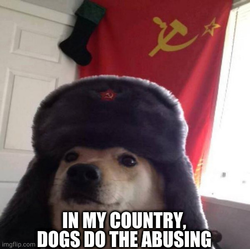 Russian Doge | IN MY COUNTRY, DOGS DO THE ABUSING | image tagged in russian doge | made w/ Imgflip meme maker
