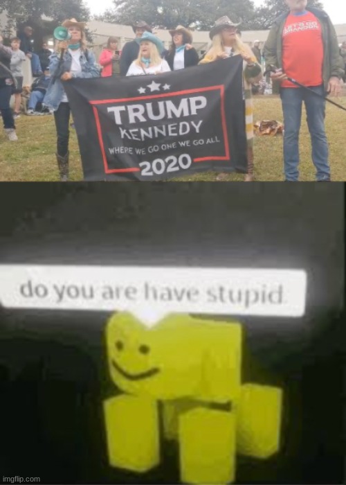 JFK Jr. is dead dummies! | image tagged in do you are have stupid,political meme | made w/ Imgflip meme maker