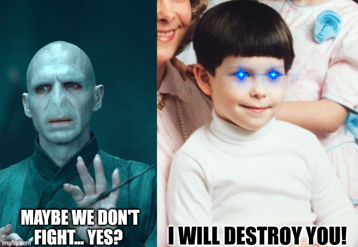 I will destroy you! | MAYBE WE DON'T FIGHT... YES? I WILL DESTROY YOU! | image tagged in funny,harry potter,powerful,humor,voldemort | made w/ Imgflip meme maker