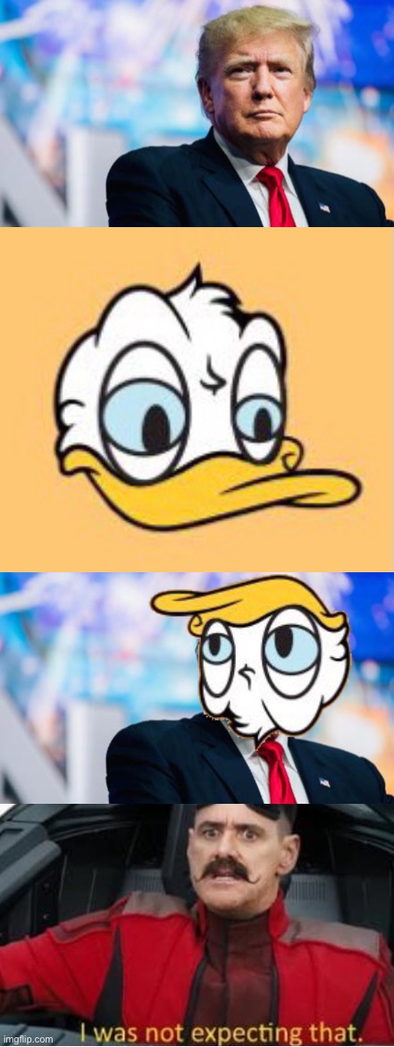 Donald Donald Donald… | image tagged in memes,funny,donald trump,donald duck,i was not expecting that | made w/ Imgflip meme maker