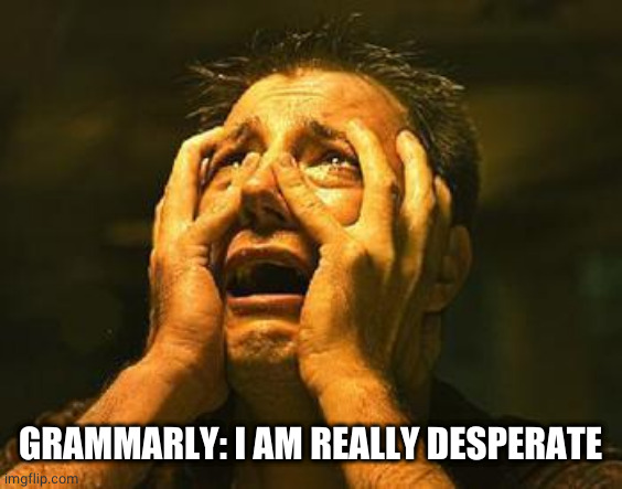 desperation | GRAMMARLY: I AM REALLY DESPERATE | image tagged in desperation | made w/ Imgflip meme maker