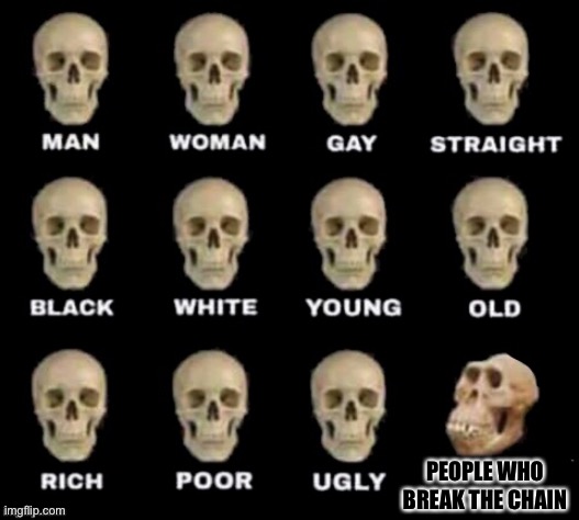 idiot skull | PEOPLE WHO BREAK THE CHAIN | image tagged in idiot skull | made w/ Imgflip meme maker