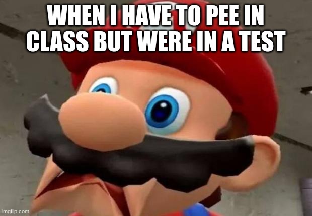 Mario WTF | WHEN I HAVE TO PEE IN CLASS BUT WERE IN A TEST | image tagged in mario wtf | made w/ Imgflip meme maker