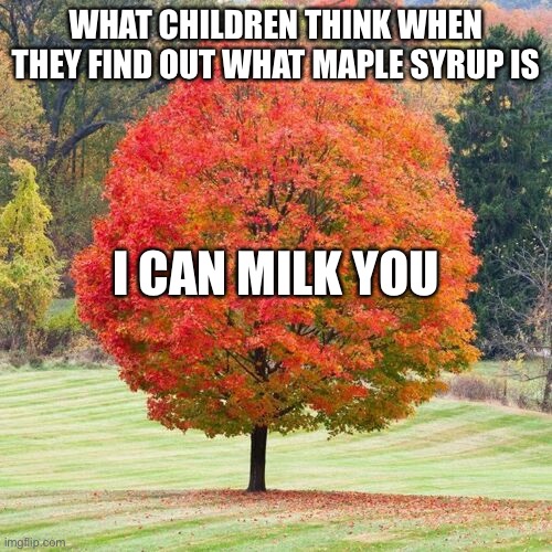 Am I right or am I right | WHAT CHILDREN THINK WHEN THEY FIND OUT WHAT MAPLE SYRUP IS; I CAN MILK YOU | image tagged in fun | made w/ Imgflip meme maker