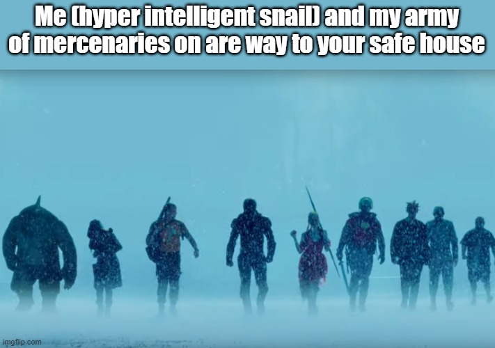 snail | Me (hyper intelligent snail) and my army of mercenaries on are way to your safe house | image tagged in snail | made w/ Imgflip meme maker