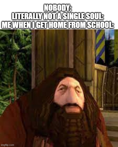 NOBODY:
LITERALLY NOT A SINGLE SOUL:
ME WHEN I GET HOME FROM SCHOOL: | image tagged in haggord,rubeus hagrid,arry porrer,why are you reading this,smgs r da best | made w/ Imgflip meme maker