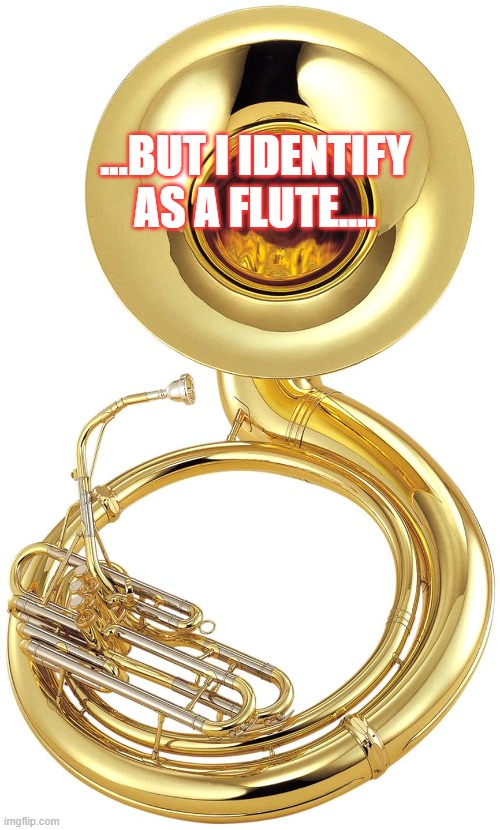 Identity | ...BUT I IDENTIFY AS A FLUTE.... | image tagged in funny memes,humor,issues | made w/ Imgflip meme maker