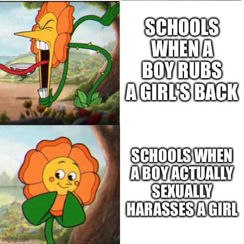 I'm a girl and a boy sexually harassed me at school once. They did nothing. | SCHOOLS WHEN A BOY RUBS A GIRL'S BACK; SCHOOLS WHEN A BOY ACTUALLY SEXUALLY HARASSES A GIRL | image tagged in cuphead flower | made w/ Imgflip meme maker